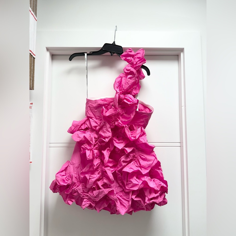 AKNVAS Ruby Ruffle Mini Dress - Picture 7 of 11